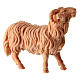 Montone Montano Cirmolo legno naturale 10 cm presepe  s2