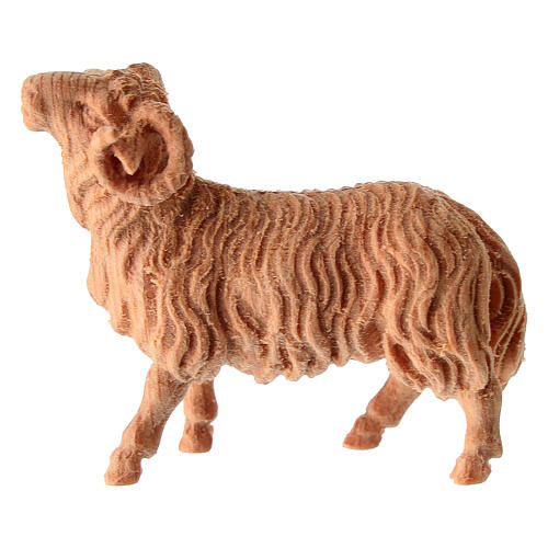 Carneiro presépio de montanha de 10 cm madeira natural pinheiro cembro 1