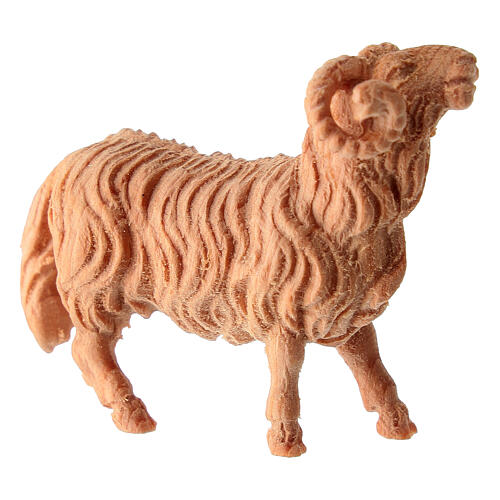 Carneiro presépio de montanha de 10 cm madeira natural pinheiro cembro 2