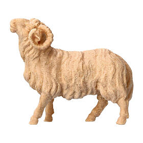 Montone presepe Montano Cirmolo legno naturale 12 cm