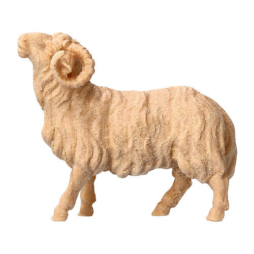 Montone presepe Montano Cirmolo legno naturale 12 cm 1