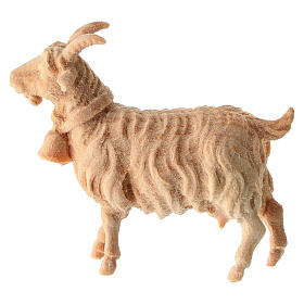 Goat with bell nativity scene in natural stone pine wood 12 cm