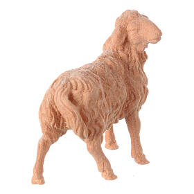 Figurine mouton tête vers droite pour crèche de montagne pin cembro naturel 10 cm