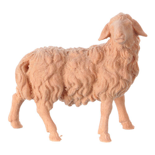 Figurine mouton tête vers droite pour crèche de montagne pin cembro naturel 10 cm 1