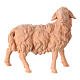 Figurine mouton tête vers droite pour crèche de montagne pin cembro naturel 10 cm s1