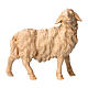 Sheep looks right nativity stone pine wood 10 cm nativity scene s1