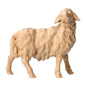 Figurine mouton tête vers droite crèche de montagne 12 cm pin cembro naturel