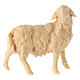 Figurine mouton tête vers droite crèche de montagne 12 cm pin cembro naturel s1