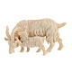 Figurine de chèvre avec chevreau pour crèche de montagne pin cembro naturel 10 cm s1