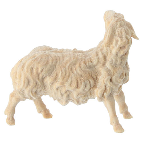 Goat looking to the left, natural Swiss pinewood, for Mountain Nativity Scene of 10 cm 4