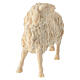 Goat looking to the left, natural Swiss pinewood, for Mountain Nativity Scene of 10 cm s2