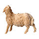 Figurine mouton tête vers gauche pour crèche de montagne pin cembro naturel 10 cm s1
