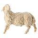 Figurine mouton tête vers gauche pour crèche de montagne pin cembro naturel 10 cm s1