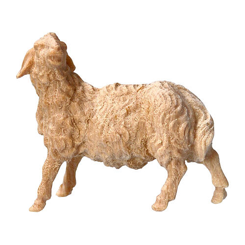 Pecora guarda a sinistra Montano Cirmolo legno naturale 10 cm presepe  1