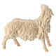 Pecora guarda a sinistra Montano Cirmolo legno naturale 10 cm presepe  s4