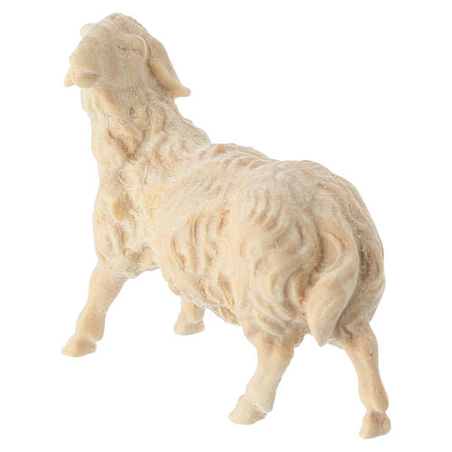 Sheep looks to the left natural stone pine wood 10 cm nativity scene 3