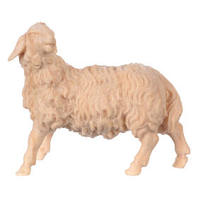Figurine mouton tête vers gauche crèche de montagne 12 cm pin cembro naturel