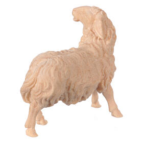 Figurine mouton tête vers gauche crèche de montagne 12 cm pin cembro naturel