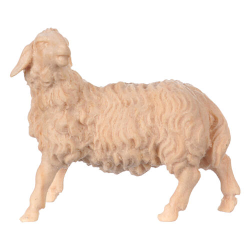 Figurine mouton tête vers gauche crèche de montagne 12 cm pin cembro naturel 1