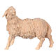 Figurine mouton tête vers gauche crèche de montagne 12 cm pin cembro naturel s1