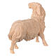 Figurine mouton tête vers gauche crèche de montagne 12 cm pin cembro naturel s2