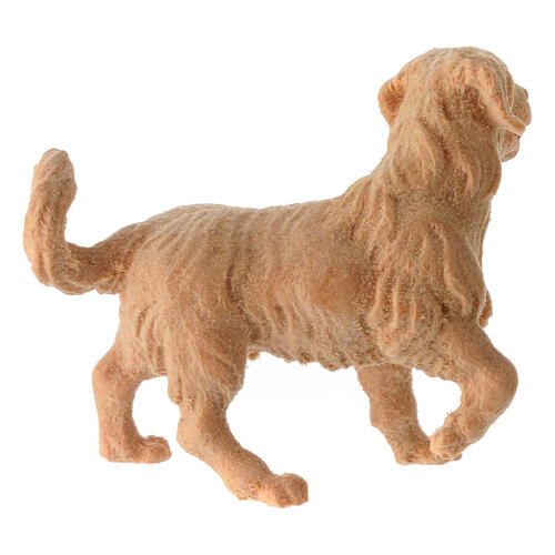 Weidender Hund Bergkiefer Naturholz Krippe, 10 cm 3