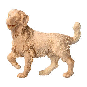 Sheepdog figurine of natural Swiss pinewood for Mountain Nativity Scene of 10 cm