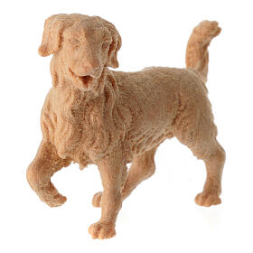 Chien berger pin cembro naturel pour crèche de montagne 10 cm