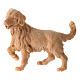 Pies pasterski z drewna naturalnego do szopki 10cm s1