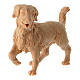 Pies pasterski z drewna naturalnego do szopki 10cm s2
