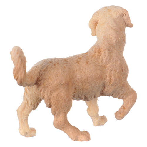 Chien berger en pin cembro naturel crèche de montagne 12 cm 2