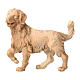 Chien berger en pin cembro naturel crèche de montagne 12 cm s1