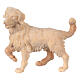 Chien berger en pin cembro naturel crèche de montagne 12 cm s1