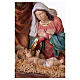 Resin Nativity with Holy Family statue, 150 cm s3