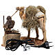 Camel driver with his camel, MOTION for Neapolitan Nativity Scene of 20 cm s4