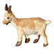 Bambina allatta capra presepe napoletano 10 cm s3