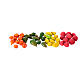 Set of 4 kinds of fruits for 10-12 cm Neapolitan Nativity Scene s3