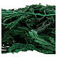 Muschio licopodio 60 gr s2