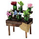 Banchetto fiori presepe napoletano 10 cm legno 10x10x5 s5
