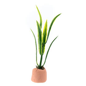 Miniatur-Pflanze, Krippenzubehör, neapolitanischer Stil, für 10-12 cm Krippe, 6x2x2 cm
