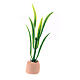 Miniatur-Pflanze, Krippenzubehör, neapolitanischer Stil, für 10-12 cm Krippe, 6x2x2 cm s1