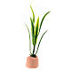 Miniatur-Pflanze, Krippenzubehör, neapolitanischer Stil, für 10-12 cm Krippe, 6x2x2 cm s2
