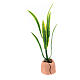 Miniatur-Pflanze, Krippenzubehör, neapolitanischer Stil, für 10-12 cm Krippe, 6x2x2 cm s3
