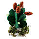Miniatur-Kaktusfeige, Krippenzubehör, neapolitanischer Stil, für 6-10 cm Krippe, 5x3x3 cm s1