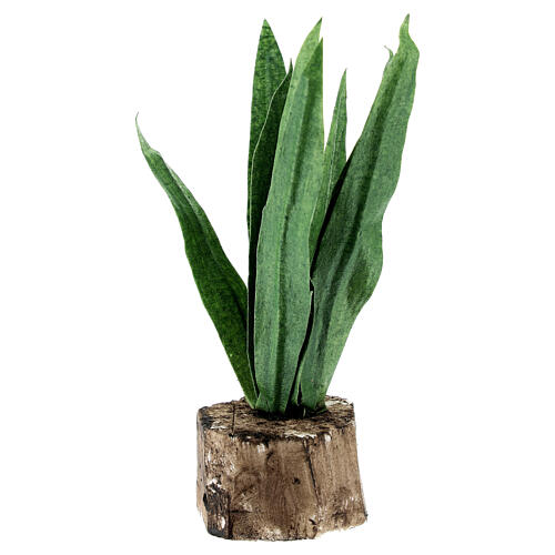 Agave for 8-10 cm Neapolitan Nativity Scene, real h 8 cm 1