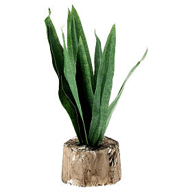 Agave para presépio napolitano 8-10 cm h real 8 cm