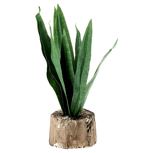 Agave para presépio napolitano 8-10 cm h real 8 cm 2