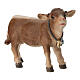 Vitello presepe 12 cm legno colorato Heimatland Val Gardena  s2