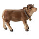 Calf nativity scene 12 cm colored wood Heimatland Val Gardena s1