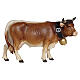 Wooden figurine of a cow with head to the right for 9.5 cm Heimatland Nativity Scene, Val Gardena s1